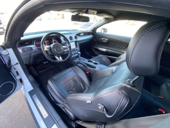 2019 Ford Mustang EcoBoost Premium EcoBoost Premium Fastback - Image 13