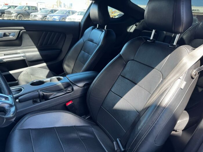 2019 Ford Mustang EcoBoost Premium EcoBoost Premium Fastback - Image 11