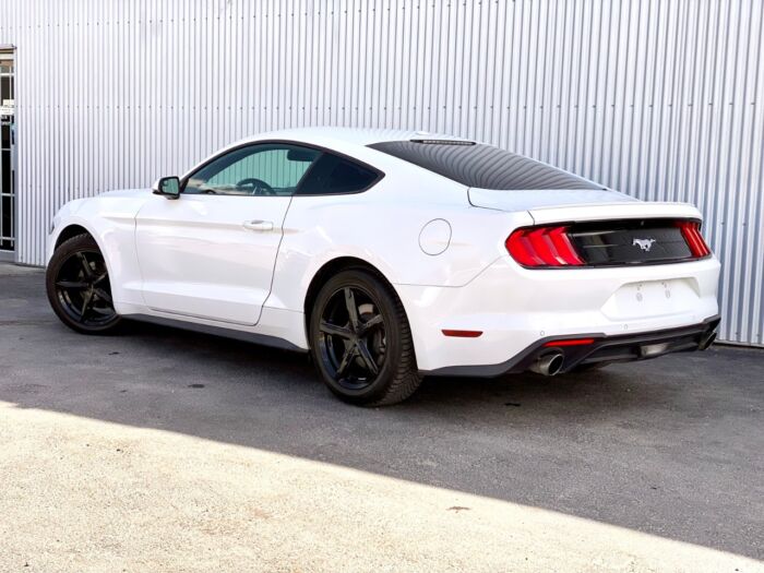2019 Ford Mustang EcoBoost Premium EcoBoost Premium Fastback - Image 3