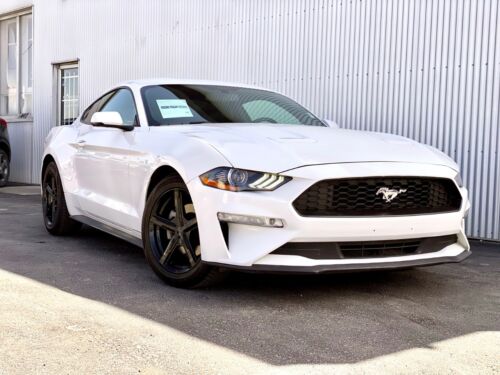 USED 2019 Ford Mustang EcoBoost Premium EcoBoost Premium Fastback Calgary AB T2G 4P2
