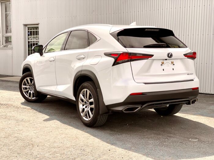 2021 Lexus NX NX 300 NX 300 AWD - Image 4